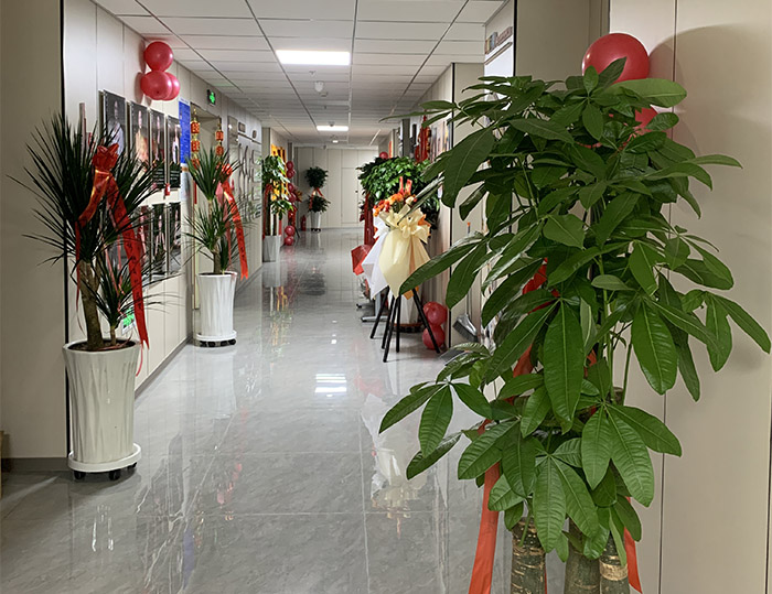 学校走廊